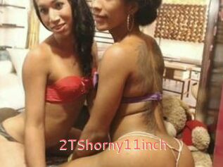2TShorny11inch