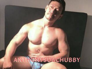 ANTHONYSUBCHUBBY