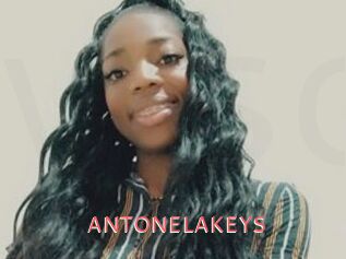ANTONELAKEYS