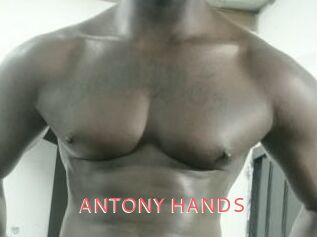 ANTONY_HANDS