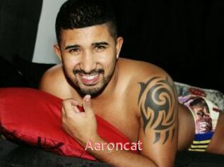 Aaroncat
