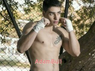 AdamBull
