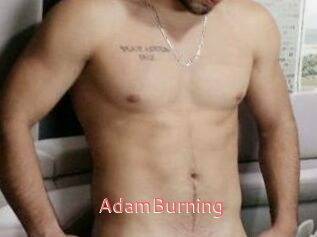 AdamBurning
