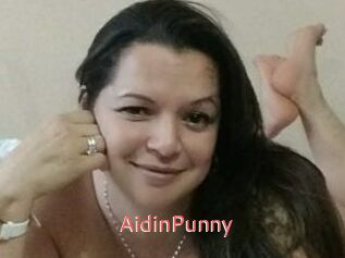 AidinPunny