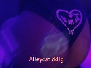 Alleycat_ddlg