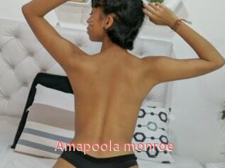 Amapoola_monroe