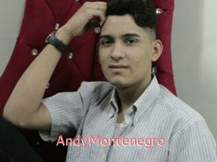AndyMontenegro