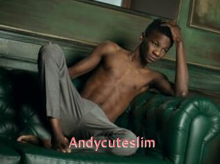 Andycuteslim