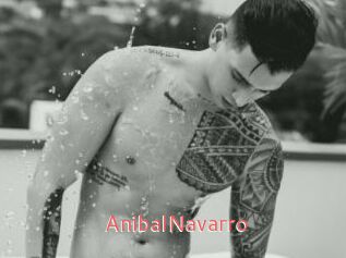 AnibalNavarro