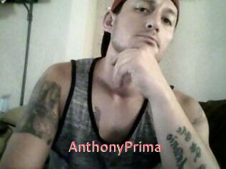 AnthonyPrima