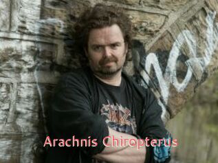 Arachnis_Chiropterus