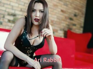 Ari_Rabbit