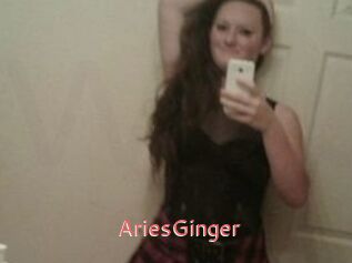 AriesGinger
