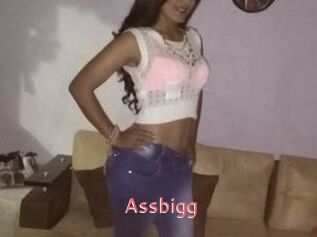 Assbigg