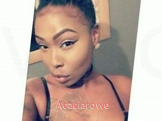 Acacia_rowe