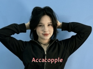 Accacopple