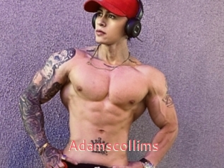 Adamscollims