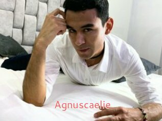 Agnuscaelie