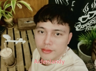 Aidenlandy