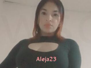 Aleja23