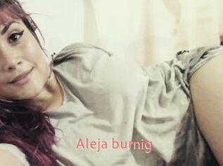 Aleja_burnig
