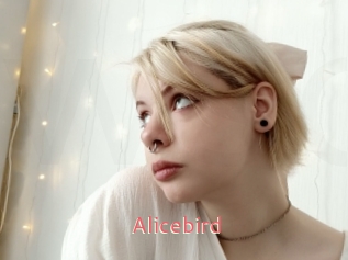 Alicebird