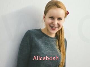 Alicebosh
