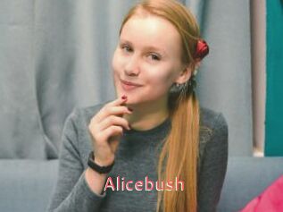 Alicebush