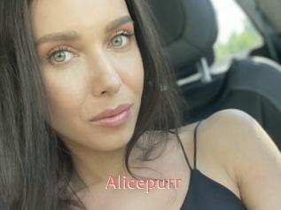 Alicepurr