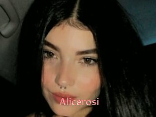 Alicerosi