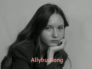 Allybudlong