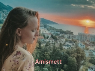Amismett