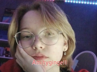 Amitygingell