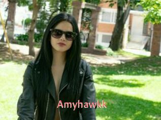 Amyhawkk