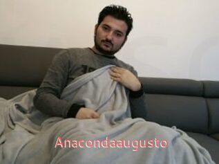 Anacondaaugusto