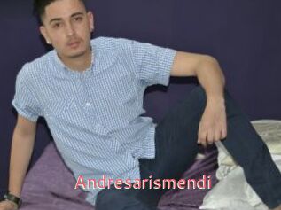 Andresarismendi