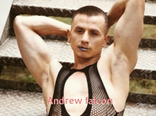 Andrew_falcon