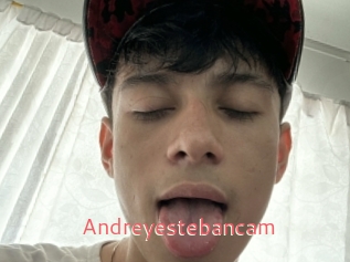 Andreyestebancam