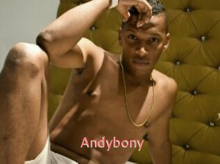 Andybony