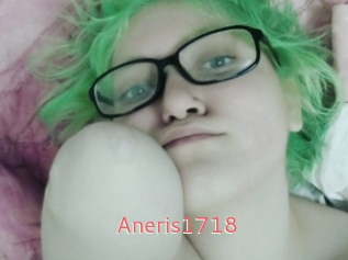Aneris1718