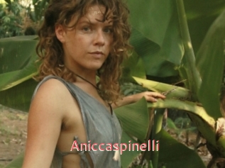 Aniccaspinelli