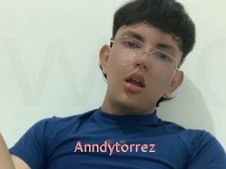Anndytorrez