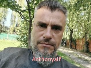 Anthonyalf