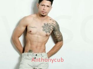 Anthonycub