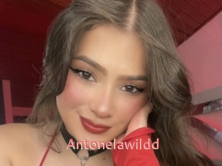 Antonelawildd