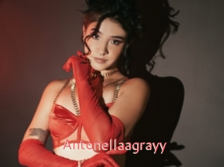 Antonellaagrayy
