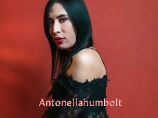 Antonellahumbolt
