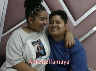 Antonellamaya