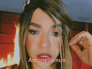 Antonellamun