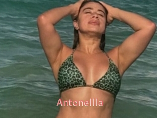 Antonellla